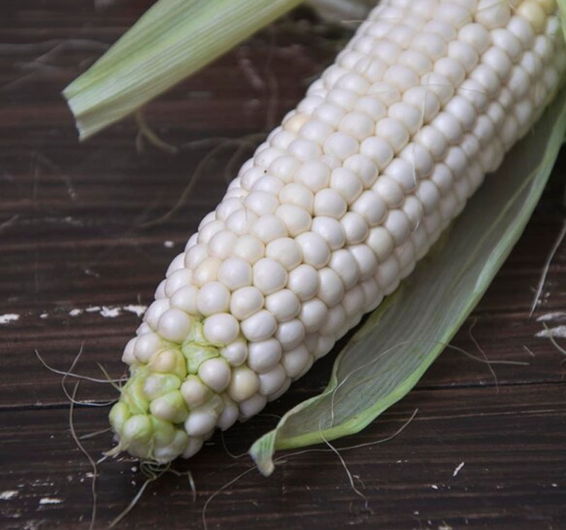 White Maize