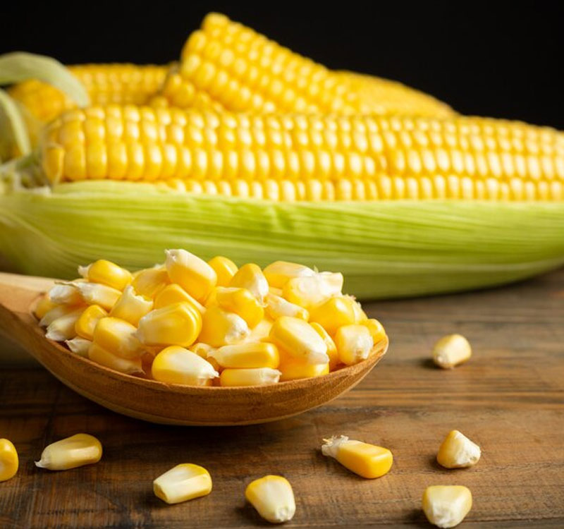 Yellow Maize