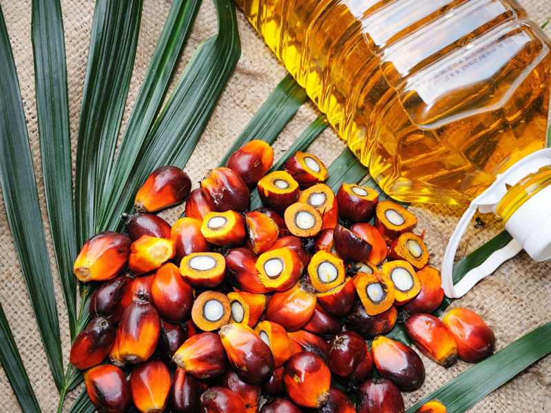 Palm Oil