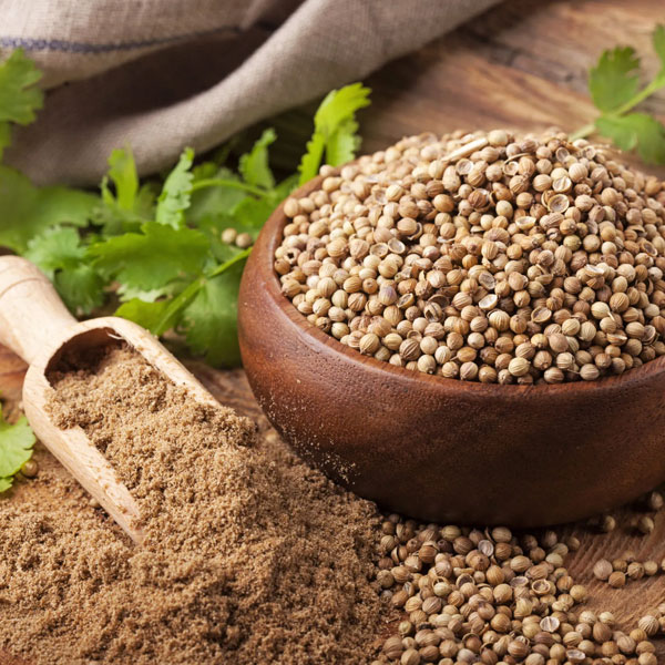 Coriander Powder