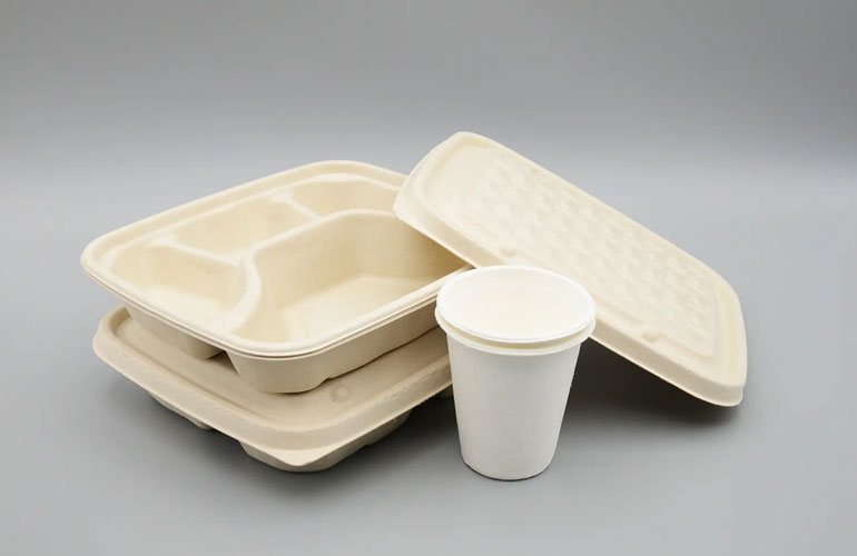 Bagasse